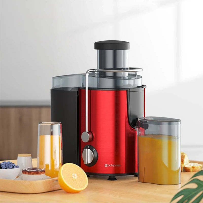 Stainless Steel Vegetable Juicer - Image #0