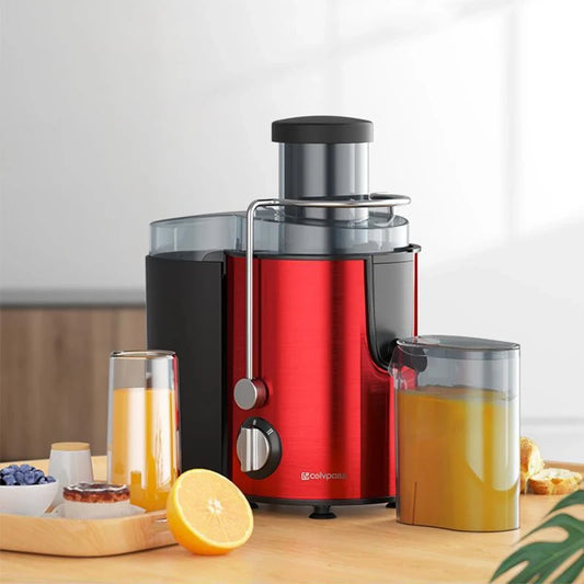 Stainless Steel Vegetable Juicer - Image #0